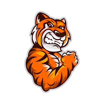 tiger sport mascot cartoon template