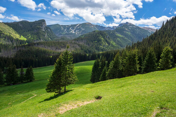 Great spring landscape in the Kalatowki Glade. Western Tatras.