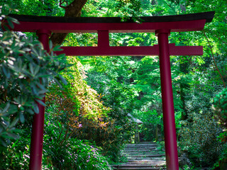 朱の鳥居