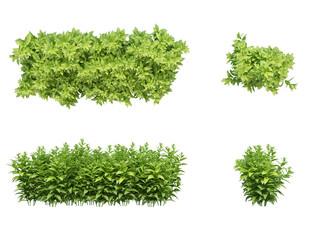 Obraz premium 3d Render Brush Tree Isolated on white