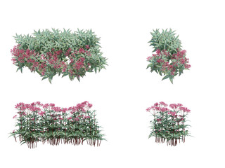 3d Render Brush Tree Isolated  on white