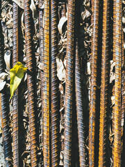 Top view old rusted iron bars and dry leaves on floor. Close up to stack of straight old rusty steel reinforcement structural steel bars from construction site. Steel rod with rust. Rusty Metal Bars.