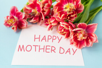 Very beautiful spring tulips on a blue paper background. Happy mother day lettering.