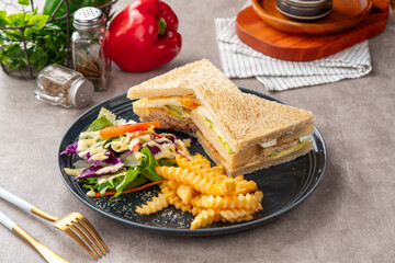 Tuna sandwich with french fries and salad.