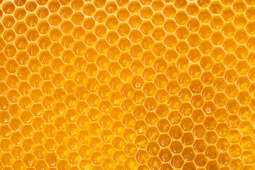 Honeycombs background texture of honeycombs filled with honey.