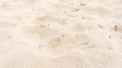Sandy brown background. Sand nature texture in summer sunny day