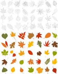 set of leaves sketch on white background isolated, vector