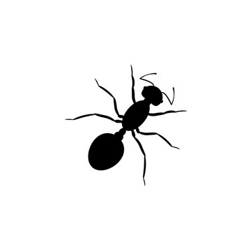 Black ant worker silhouette. An insect with six legs and powerful jaws. It is eaten as toasted snack with vector salt