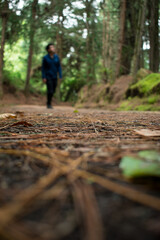 Man walking on mountain path through a green pine forest