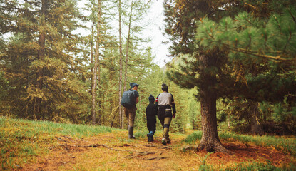 Fototapeta premium people walking in the forest