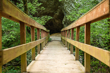 Wooden Bridge Perspective in the Woods