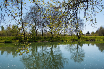 Fototapeta na wymiar Reflets d'arbres sur le canal latéral à la Garonne près d'Agen dans le département de Lot-et-Garonne