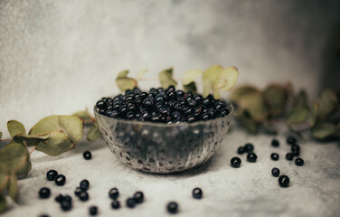 Fototapeta na wymiar Blueberry dessert in a bowl of food