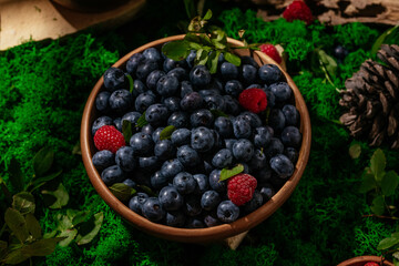 blueberries in a plate on a forest lawn