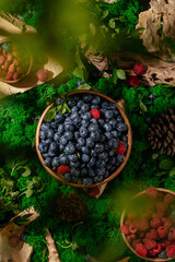 blueberries in a plate on a forest lawn