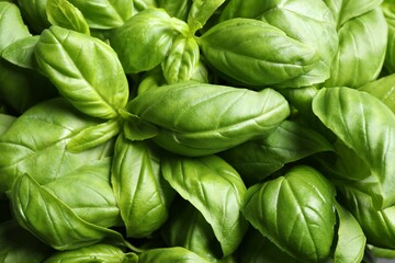 Fresh basil leaves as background, top view