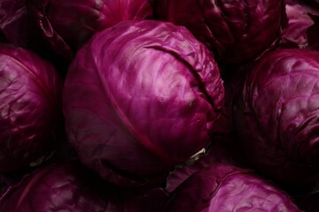 Obraz premium Many fresh ripe red cabbages as background