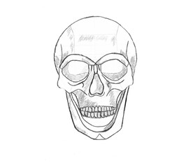 hand drawn skull on white background, creative hand drawn art, minimal concept
