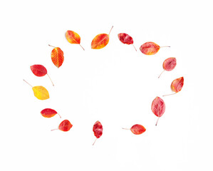 Top view flat lay of yellow, red and orange autumn leaves in circle on white background. Warm color template leaf fall concept with copy space.