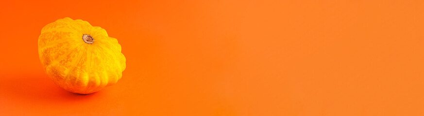 Close up banner of two mini decorative pumpkin yellow color on orange background with copy space. Halloween and Thanksgiving greeting card holiday concept.