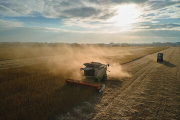 Fototapeta premium Aerial view of combine harvester working during harvesting season on large ripe wheat field. Agriculture concept
