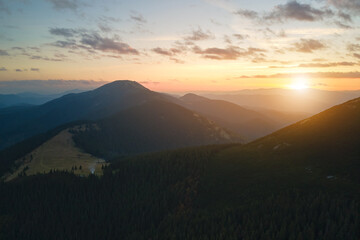 Aerial view of foggy evening over high peak with dark pine forest trees at bright sunset. Amazingl scenery of wild mountain woodland at dusk