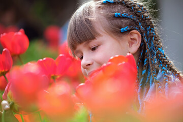 Happy child girl enjoying sweet smell of red tulip flowers in summer garden