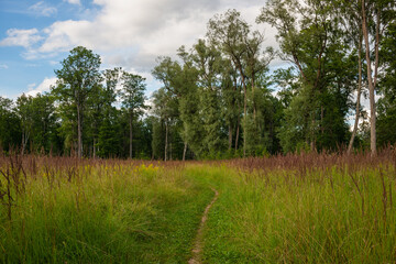 Fototapeta na wymiar Latvia. Sigulda. Meadow with trees.