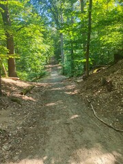 Waldweg