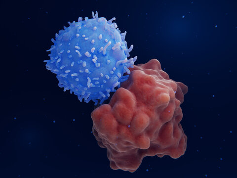 Chimeric antigen receptor (CAR) therapy: Engineered T-cell attacks a leukemia cell