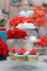 Obraz na płótnie Canvas Delicious colorful wedding cupcakes. Treats for the holiday events. Festive dessert.
