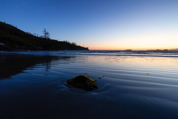 Sandy Beach on the West Coast of Pacific Ocean. Canadian Nature Landscape Background. Sunny Sunset Twilight. Cox Bay, Tofino, Vancouver Island, BC, Canada.