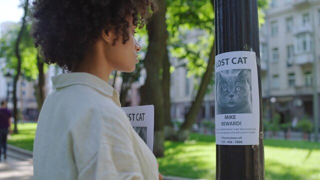 Sad woman looking for her lost cat, hanging posters with missing pet photo