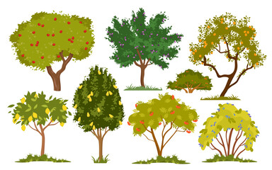 Garden trees and bushes with fruits and berries vector illustration. Cartoon isolated branches with harvest of ripe apples and pears, lemons and peaches, berry bushes with crown of green foliage