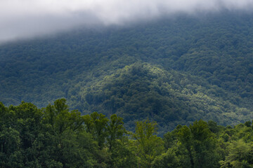 Fototapeta premium fog in the Smoky Mountains