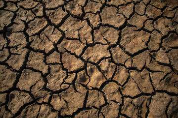 Dry soil background