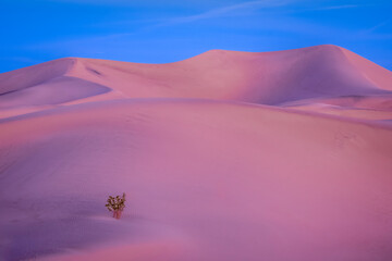 Fototapeta na wymiar Beauty of the Death Valley National Park from California, USA