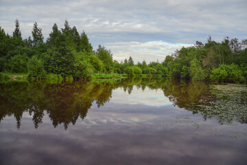 Forest river in Northern Europe: summer, colorful clouds.
