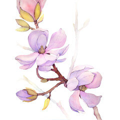 Naklejka premium Magnolia watercolor watercolour poster print painting flower botanical botanic art room decor wall design abstract inspiration palette sketch nature study artist inspired summer vibe 