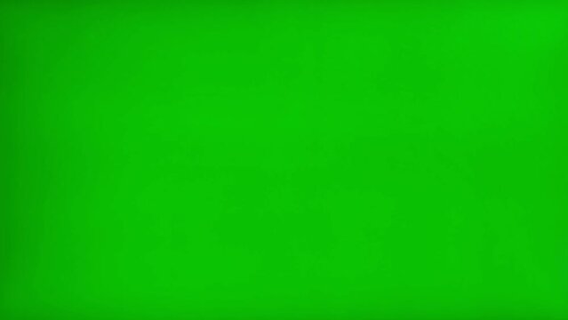 Easter Bunny Ears On Green Screen Background. Close Up. Pink and white furry Ears on Chroma Key Screen Close up. 4K Footage. Happy Easter greeting video.