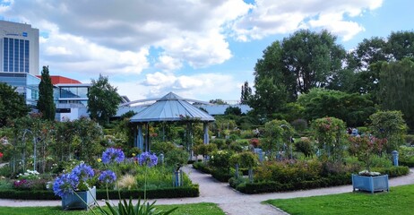 Pflanzen und Blumen in Hamburg