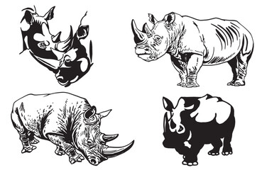 Vector set of rhinos on white isolated, horned wild animal,graphical illustration