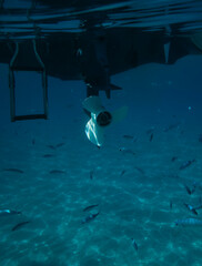 school of fish under boat propeller at the water surface in the Mediterranean sea. - 522311748