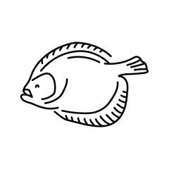 Flounder color line illustration. Ocean fishes