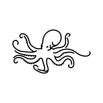 Octopus color line illustration. Ocean fishes