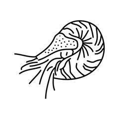 Nautilus color line illustration. Ocean fishes