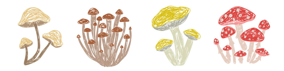 Mushrooms set. Hand drawn vector illustration. Pen or marker doodle sketch