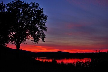 Fototapeta na wymiar Red sunset with the tree.