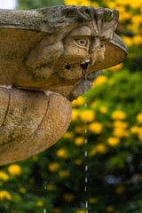 parte alta de la fuente, la cual esta esculpida en roca con un rostro precolombino