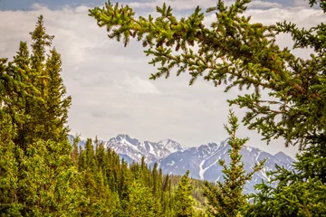Papier Peint photo Denali Mountains in Denali National Park in Alaska USA framed by pine trees and viewed over miles of wilderness forest
